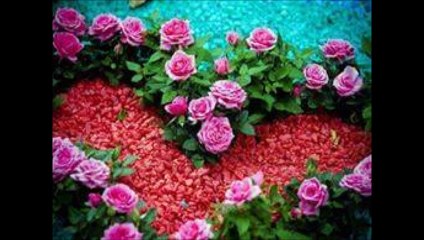 gia sena mwro mou  14/11/2015 djparis