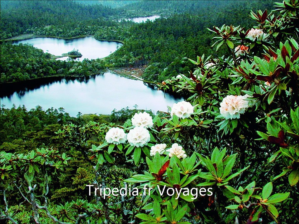 Voyage Asie - Vacances dans les plus beaux pays d'Asie