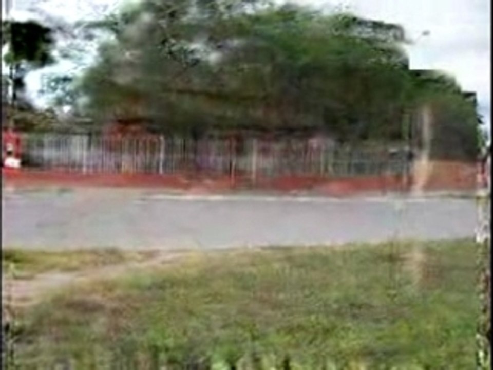 4 caminos