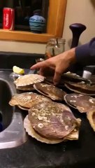 La vengeance d'une coquille saint-jacques. Morsure de doigt