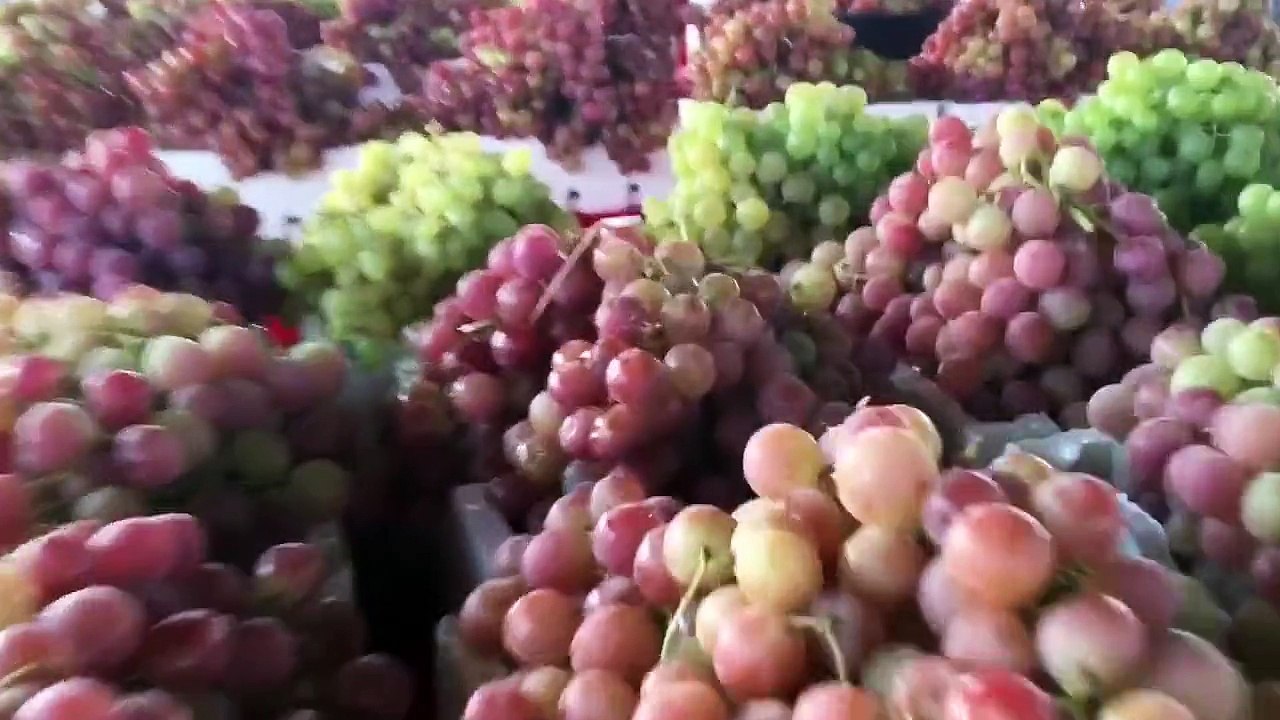 بريدة . رعاية أمير القصيم لمهرجان العنب الثاني بمركز الصلبية شمال بريدة ..