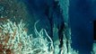 [National Geographic] The Deepest Place On Earth: Mariana Trench HD (Nature Documentary)