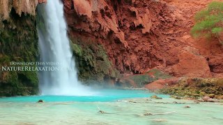 Waterfalls of the World (Nature Sounds Only) 1 HR SlowTV Healing Video 1080p