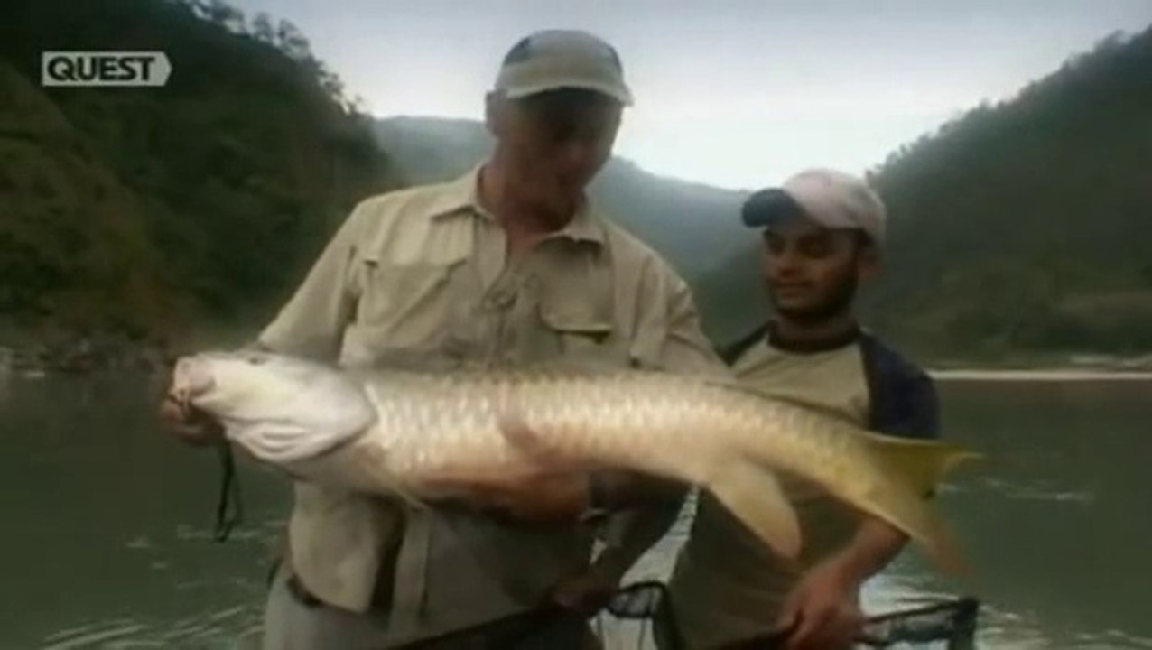 JUNGLE HOOKS WITH JEREMY WADE EPISODES 1 AND 2 THE : :  DVD & Blu-ray