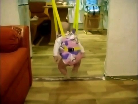 Такую лезгинку вы еще не видели!)))