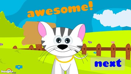 Learn About Color And Shapes Preschool Activity