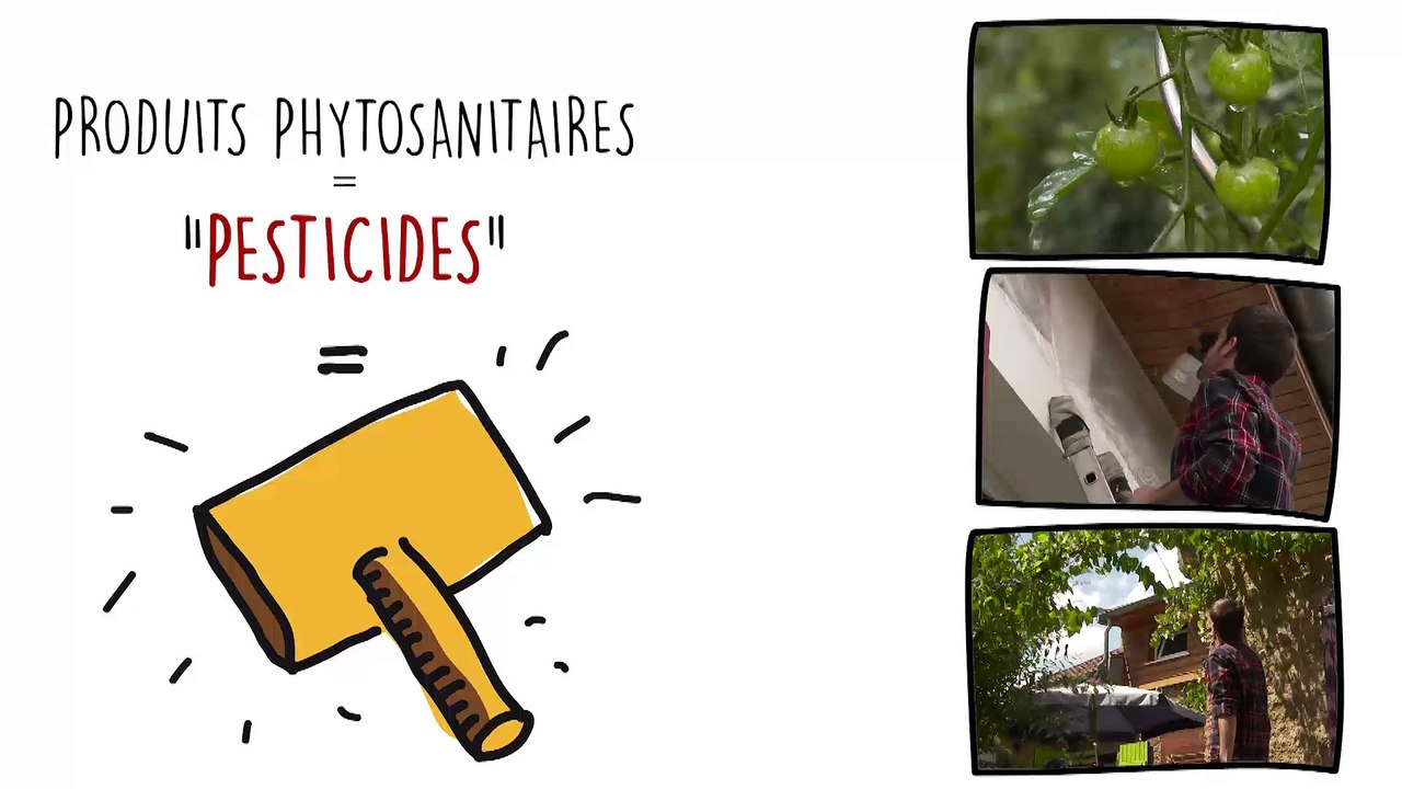 Les pesticides (ARS) - Teaser