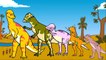 Les Pachycéphalosaures La vie des dinosaures Dessin ANM éducatif vidéo