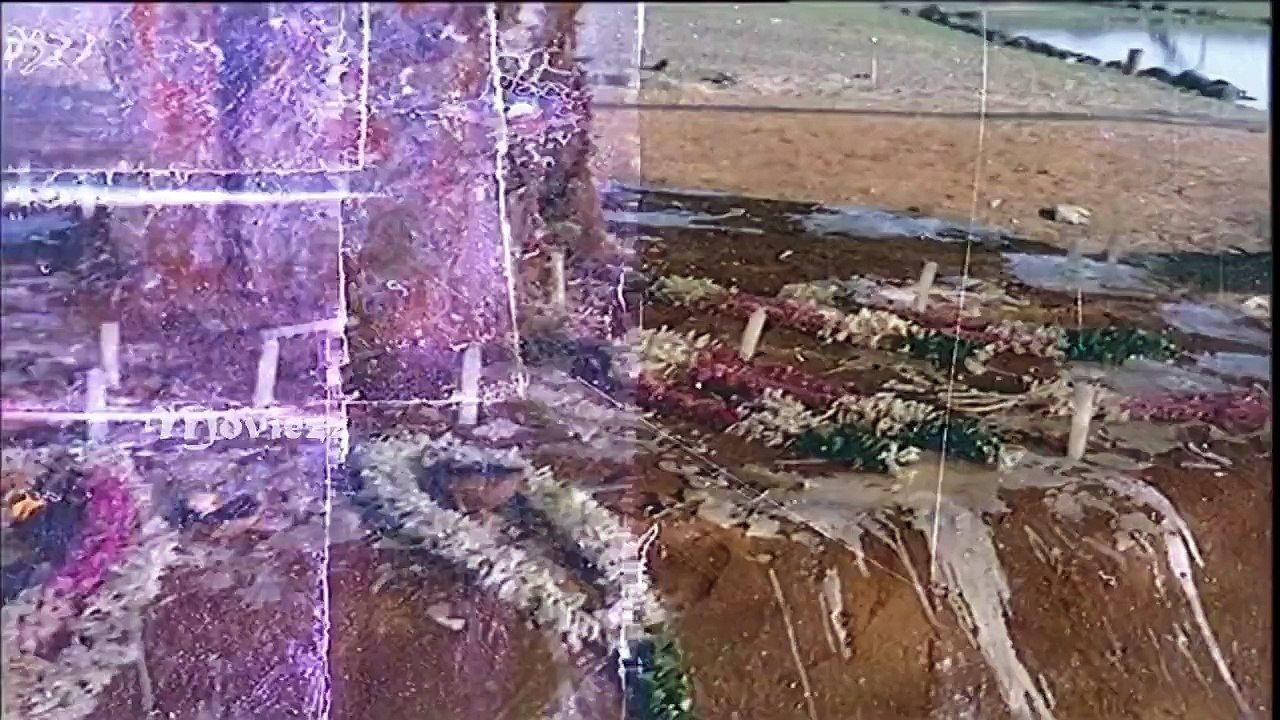 KARUNAI MAZHAIYE MERI MAATHAA ANNAI VELANKANNI TAMIL REMIX