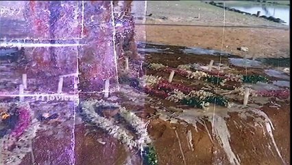 KARUNAI MAZHAIYE MERI MAATHAA ANNAI VELANKANNI TAMIL REMIX