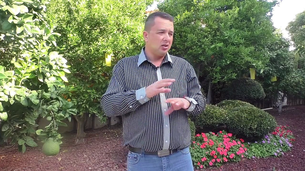 МЛМ бизнес.Как стать успешным бизнесменом в МЛМ бизнесе и не только.Секрет успеха из 8-летнего опыта