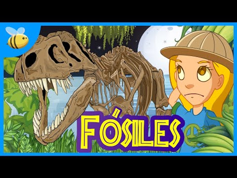 ¿Qué son los Fósiles? - Aula365