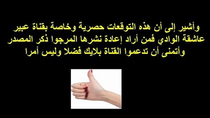 توقعات الحلقة 29 و 30 وادي الذئاب الجزء العاشر