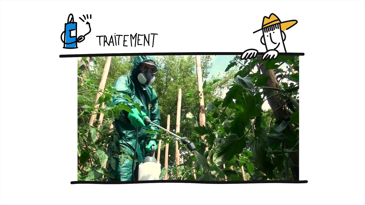 Les pesticides (ARS) - 2eme partie