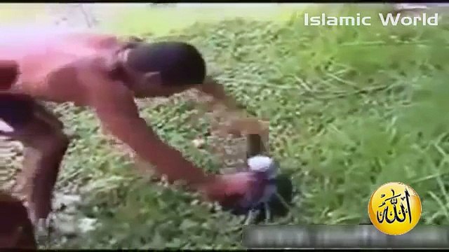 Miracle of Allah - Allah ka mojza - معجزة من الله - Live Baby Found inside a Bag Floating on a Lake