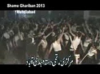 Shame Ghariban 2013 mp4