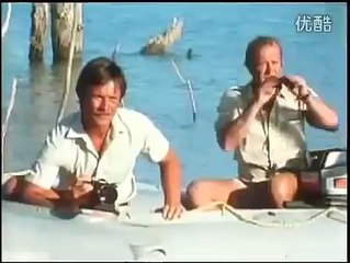 Male lions kill and eat crocodile  Rare footage   @lion