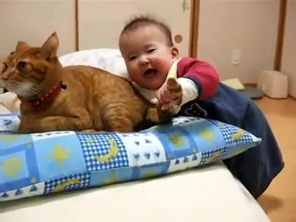 kedinin kuyruğunu ısıran bebek :)