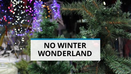 Christmas in London: T-shirt weather and picnics?