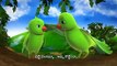 Chitti Chilakamma - Parrots 3D Animation Telugu Rhymes For children with lyrics