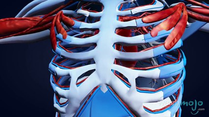 Tech Tats, Kids Viagra & Dead Gamers? The Dispatch Ep. 5 Uncovers Bizarre Stories 🤔