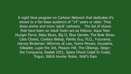 Adult Swim meaning and pronunciation