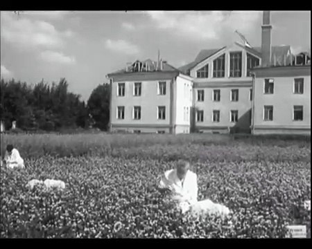 Наука и пчелы. СССР.