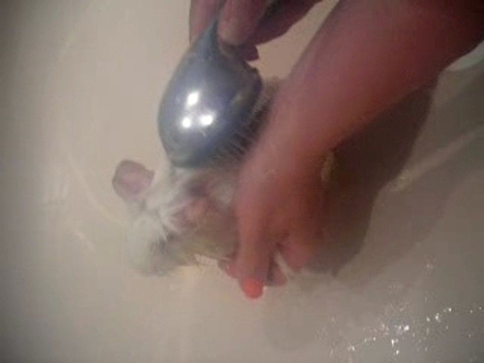 le bain de kiwi