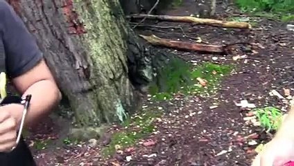 The best of 2016 Slingshot rocket