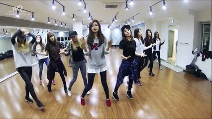 [MIRROR]소녀시대(SNSD) Mr. Mr(미스터미스터)_Practice