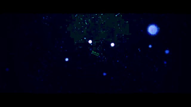 Интро на заказ #29 - Заказал Biskvitik