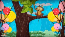 Rain Rain Go Away | Nursery Rhymes by HooplaKidz