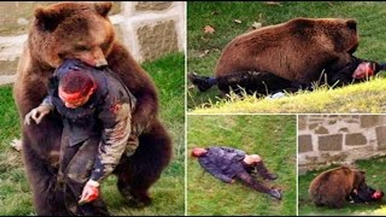 OSO MATA A Hombre DE UN Mordisco EN EL CUELLO