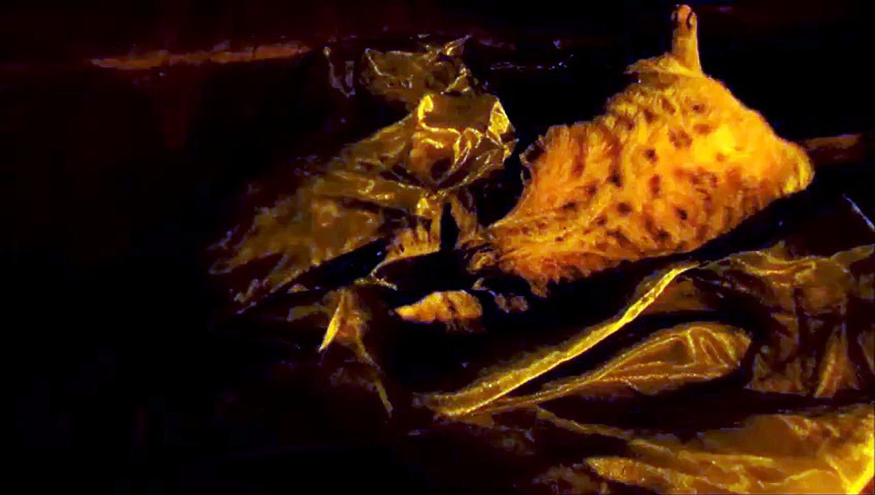 Shalom et la cataire 2