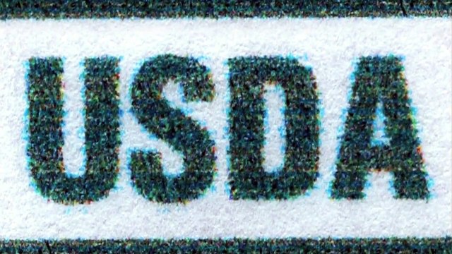 Genetically Modified Foods | CLASSIC