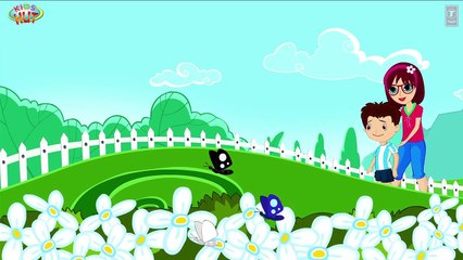 How is a Rainbow Formed?