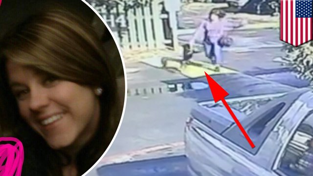 Cops searching for crazy lady caught throwing pet pug like a bowling ball