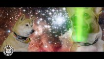 Star Wars- The Force Awakens Puppies Parody -- Lightsaber Puppies Battle