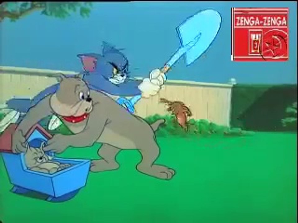 tom e jerry soluços