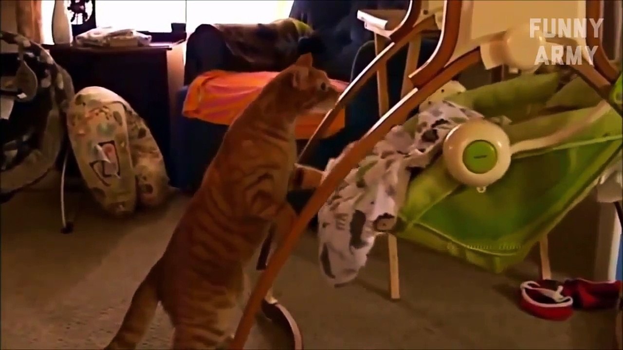 Funny videos 2015 Try not to laugh or Grin (Challenge Impossible) - Funny Pranks - FUNNY  2