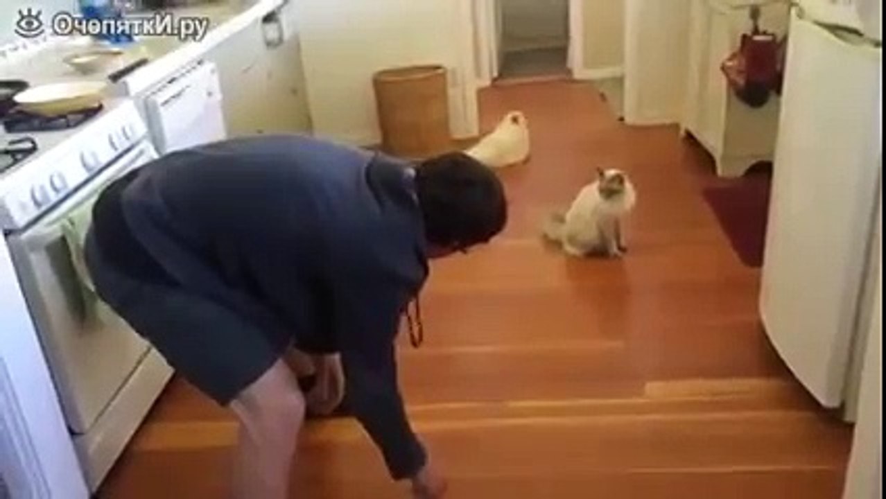 Прокати меня по полу