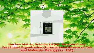 Read  Nuclear Matrix Volume 162AB Structural and Functional Organization International Review Ebook Free