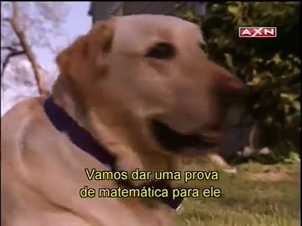 Aberturas da TV - Ripley's Believe It or Not! (...