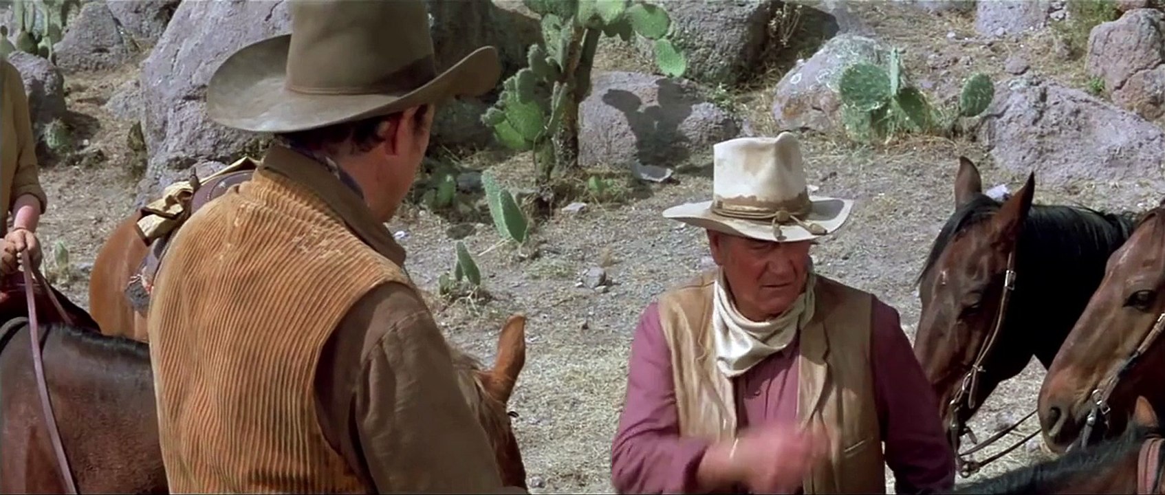 John Wayne Westerns Collection: The Train Robbers Where The Hells That Gold