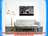 Canvas Culture - Elephant Landscape Canvas Art Print Box Framed Picture 7 Black