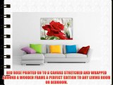 CANVAS WALL ART PRINTS RED ROSE ROMANTIC PHOTO PRINTING PICTURES ROOM DECORATION FLORAL PHOTOS