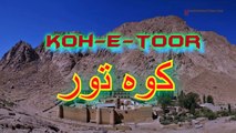 Koh-e-Toor (Mount Sinai), Egypt