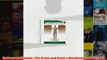Endocannabinoids The Brain and Bodys Marijuana and Beyond