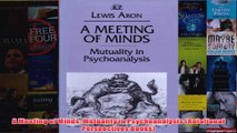 A Meeting of Minds Mutuality in Psychoanalysis Relational Perspectives Books