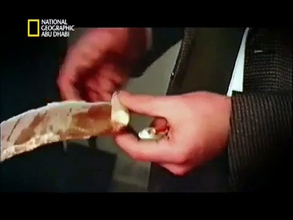 وثائقي | ليلة عنف حقيقي: وجه بريطانيا الآخر: جلاسكو HD